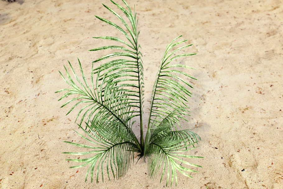 Plants Grass and Trees Pack in Objects - product preview 3