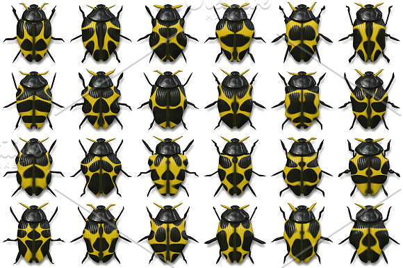 10 Beetle Collection Backgrounds in Textures - product preview 7