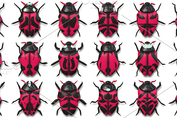10 Beetle Collection Backgrounds in Textures - product preview 10