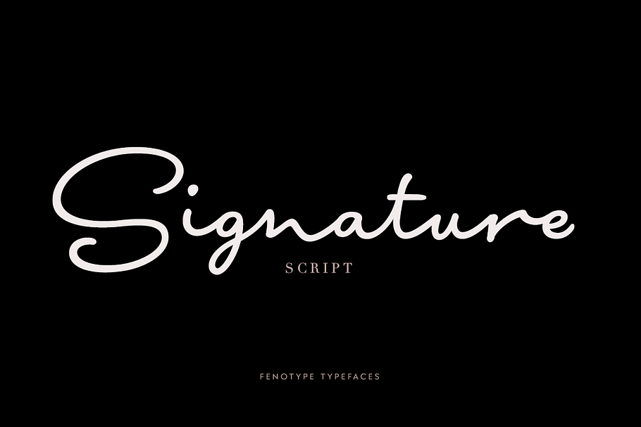 Signature Script Intro Sale in Script Fonts - product preview 8