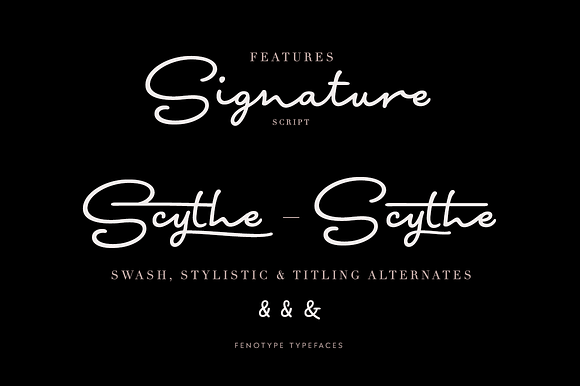 Signature Script Intro Sale in Script Fonts - product preview 7