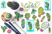 Cacti set