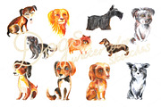 Dogs (watercolor sketches)