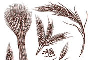Wheat sketch set