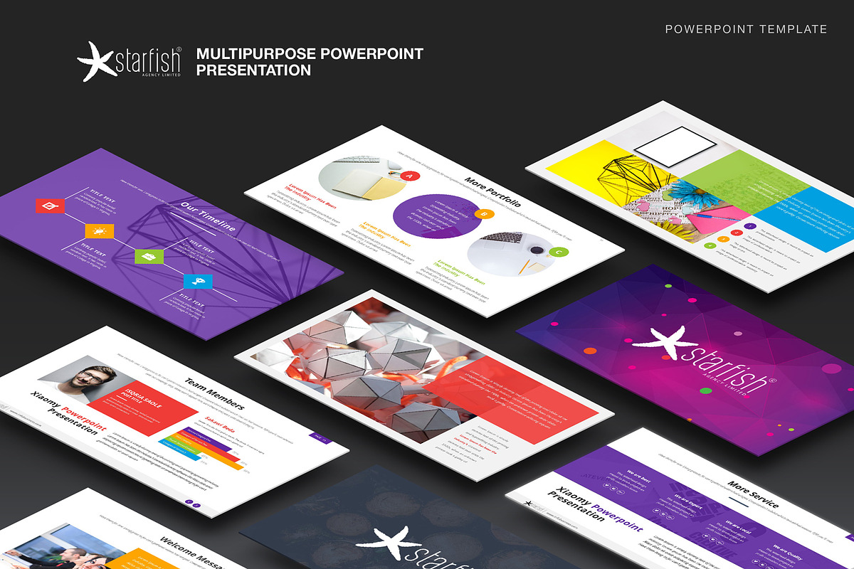 Starfish Powerpoint Presentation in PowerPoint Templates - product preview 8