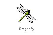 Dragonfly color icon