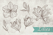 Doodle Lilies + Bonus pattern