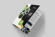 Corporate Business BiFold Brochure