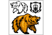 Color vector illustration of bear Grizzly