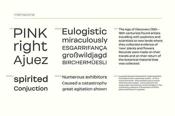 Internacional - 50% off in Sans-Serif Fonts - product preview 4