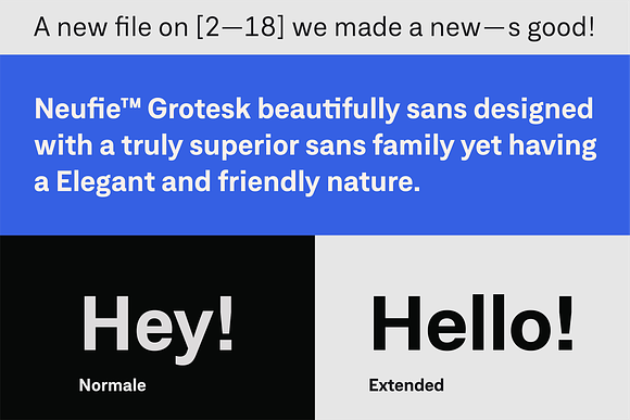 Neufile Grotesk™ in Sans-Serif Fonts - product preview 1
