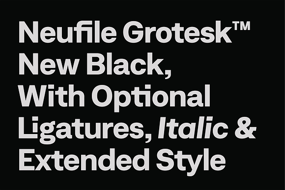 Neufile Grotesk™ in Sans-Serif Fonts - product preview 5