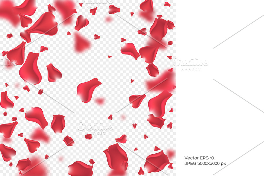 Flying rose petals background. in Illustrations - product preview 8
