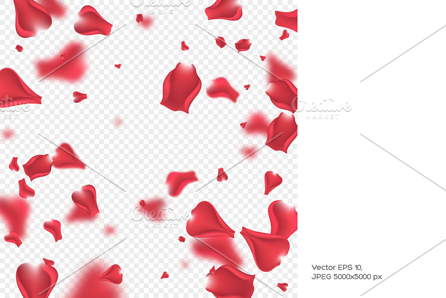 Flying rose petals background. in Illustrations - product preview 8