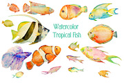 Watercolor Clipart Tropical Fish