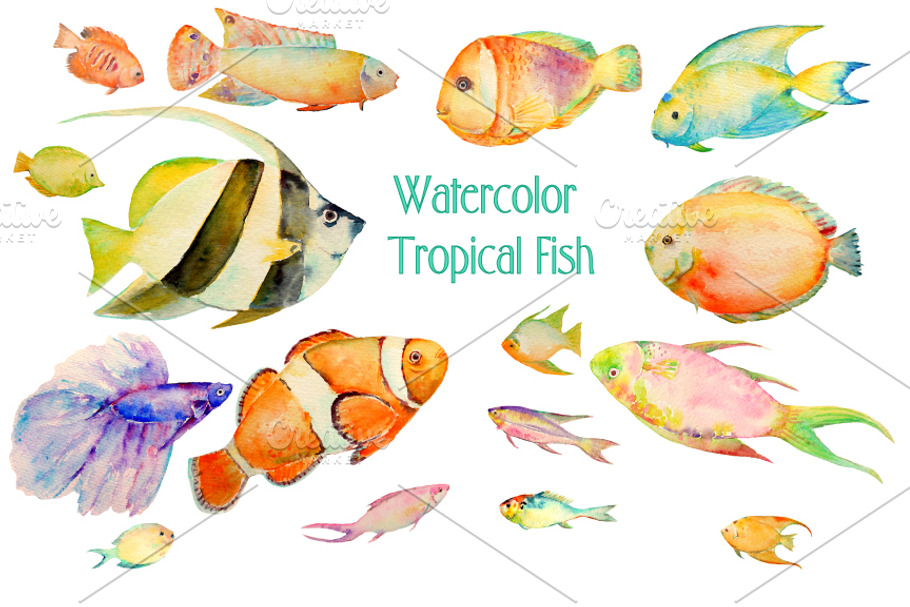 Watercolor Clipart Tropical Fish in Illustrations - product preview 8