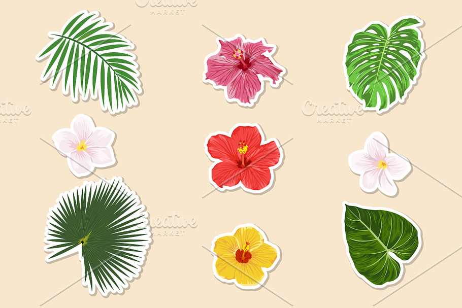 Tropical plants -paper stickers.  in Illustrations - product preview 8