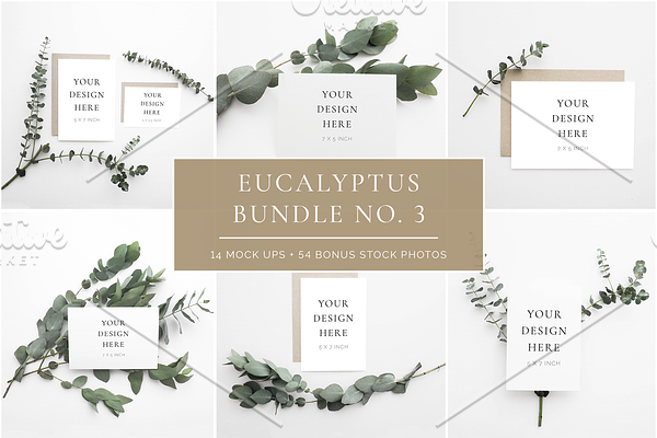 Scandinavian Eucalyptus Bundle No. 3