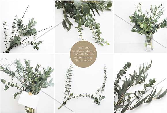 Scandinavian Eucalyptus Bundle No. 3 in Print Mockups - product preview 4