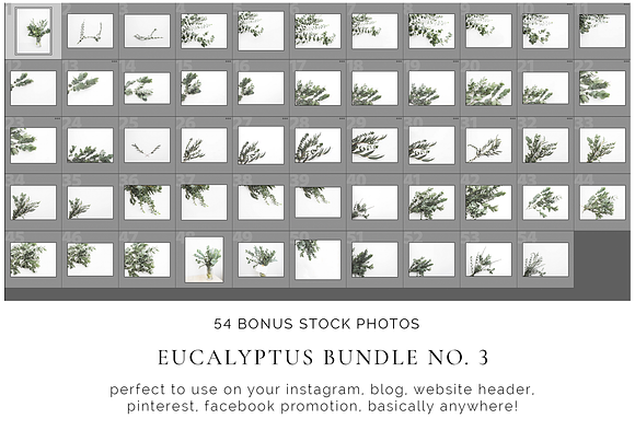 Scandinavian Eucalyptus Bundle No. 3 in Print Mockups - product preview 5