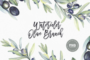 Watercolor botanic olive branch