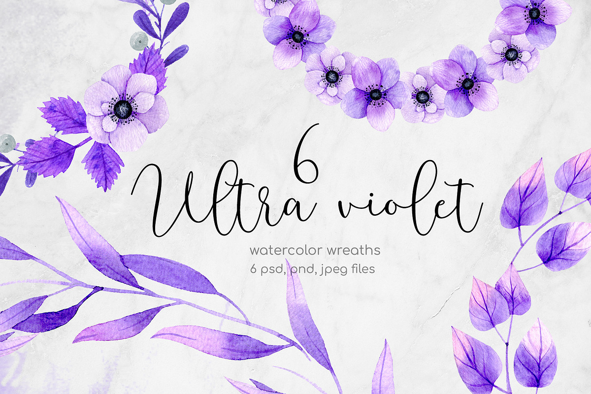 6 Great ultra violet wreaths in Illustrations - product preview 8