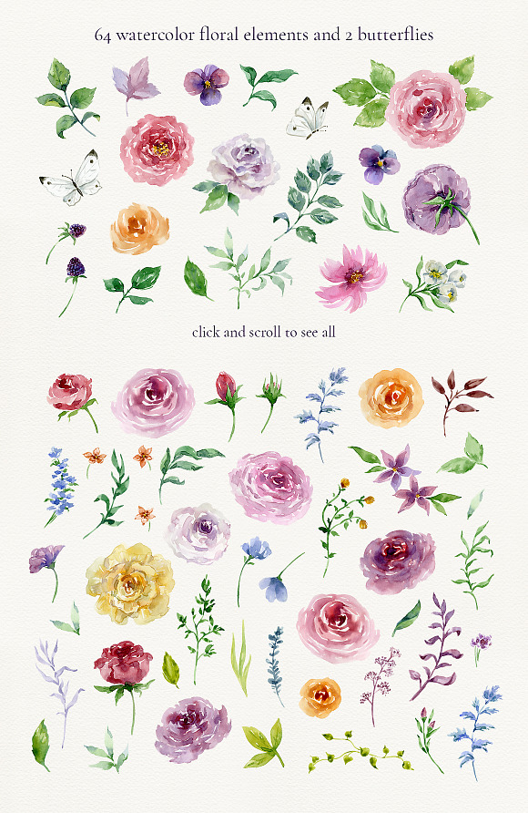 English garden in Illustrations - product preview 1