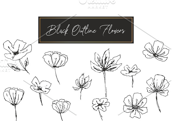 Black Outline Leafs and Flowers in Illustrations - product preview 2
