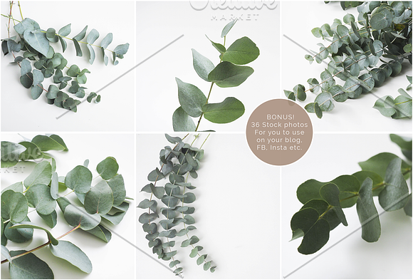 Scandinavian Eucalyptus Bundle No. 2 in Print Mockups - product preview 3