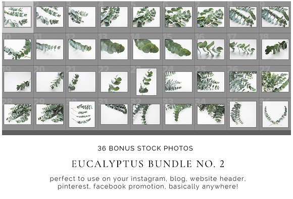 Scandinavian Eucalyptus Bundle No. 2 in Print Mockups - product preview 4
