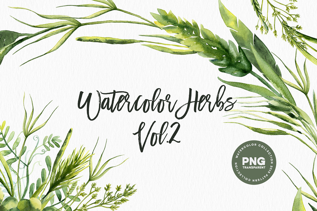 Watercolor Herbs Vol.2 in Illustrations - product preview 8