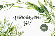 Watercolor Herbs Vol.2