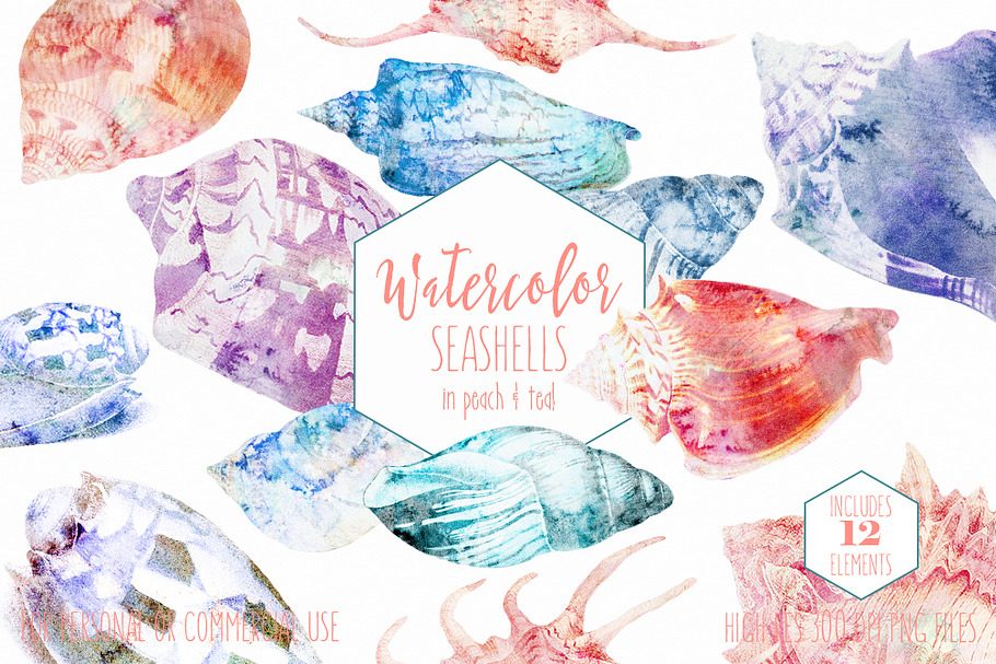 Beach Seashells Ocean Shells Clipart in Illustrations - product preview 8