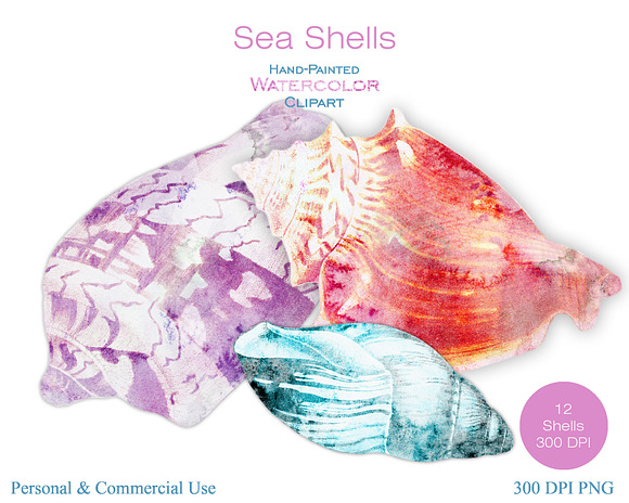 Beach Seashells Ocean Shells Clipart in Illustrations - product preview 2