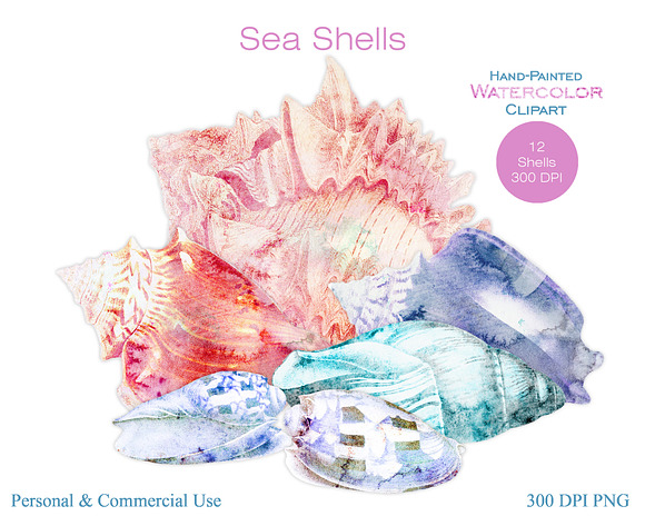 Beach Seashells Ocean Shells Clipart in Illustrations - product preview 3