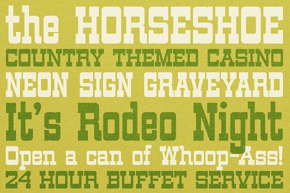 Horseplay AOE Pro in Slab Serif Fonts - product preview 1