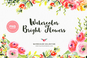 Watercolor Bright Flowers