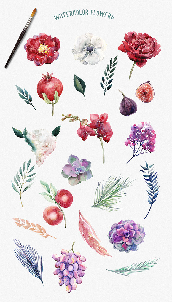 Watercolor Floral & Fruity Delight in Illustrations - product preview 2