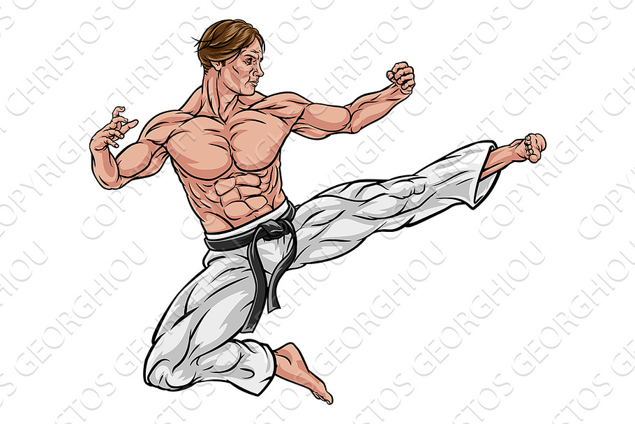 Karate or Kung Fu Flying Kick in Illustrations - product preview 8