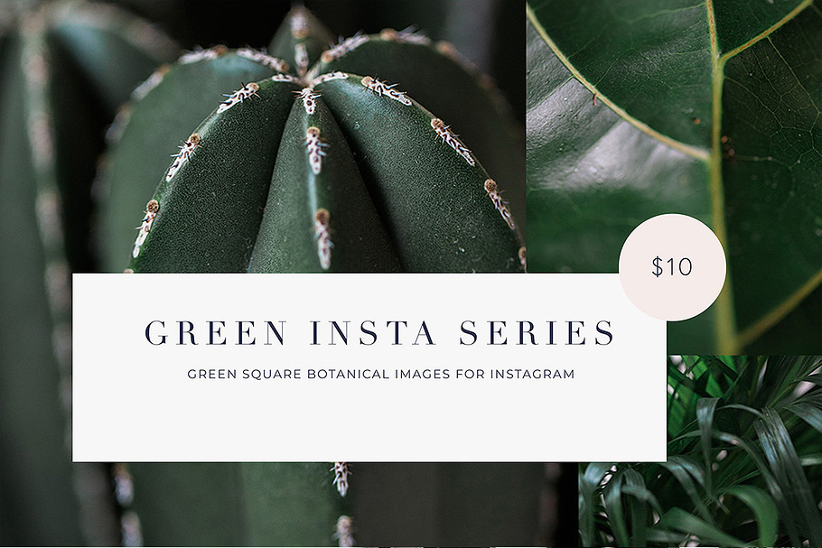 15 Green plant Insta Square photos