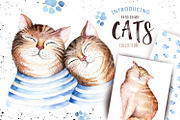 Watercolor cats collection