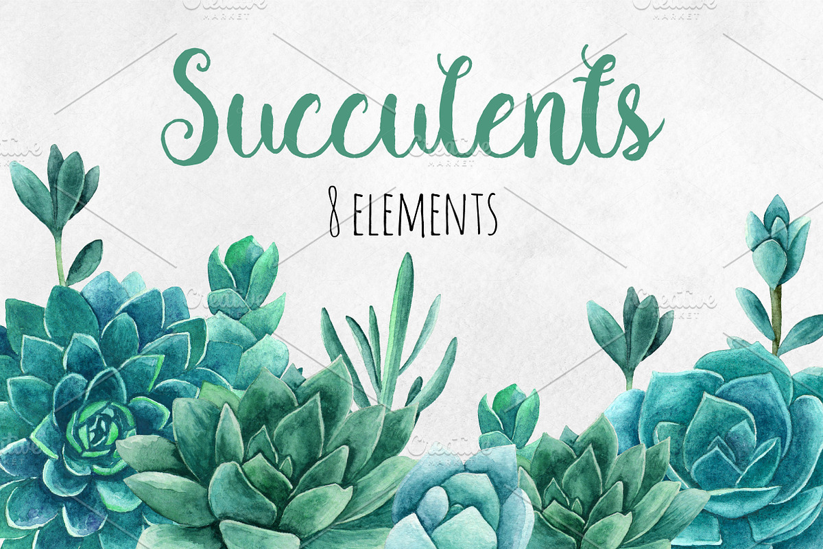 Watercolor succulents clip art in Illustrations - product preview 8