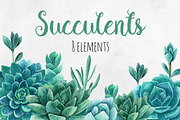 Watercolor succulents clip art