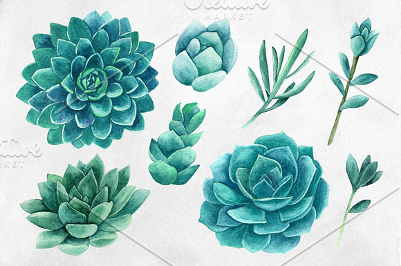 Watercolor succulents clip art in Illustrations - product preview 1