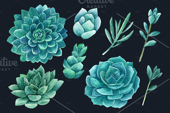 Watercolor succulents clip art in Illustrations - product preview 2