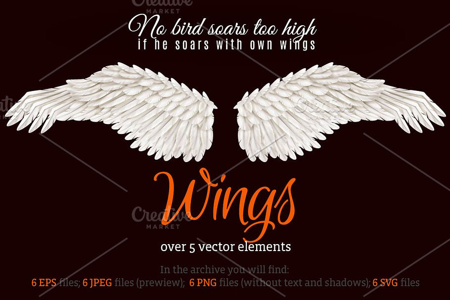 Wings Vector Set in Illustrations - product preview 8
