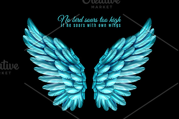Wings Vector Set in Illustrations - product preview 2