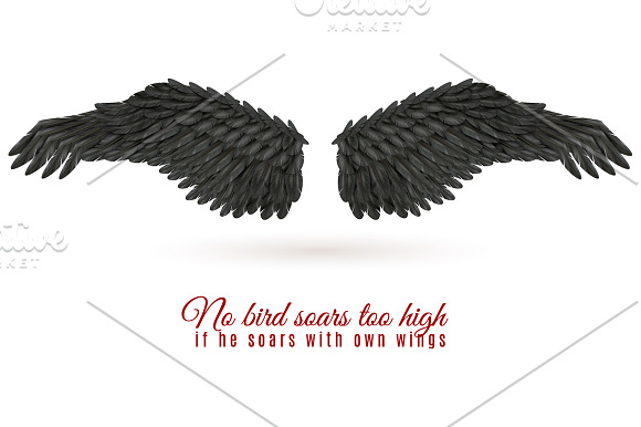 Wings Vector Set in Illustrations - product preview 3