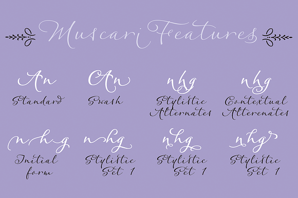 Muscari Regular in Script Fonts - product preview 2