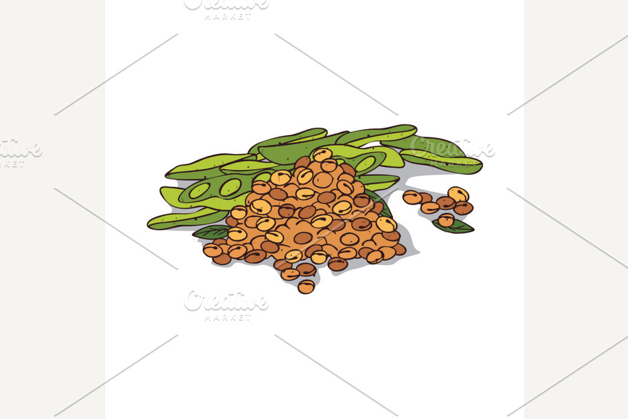 Isolated clipart Soybean in Illustrations - product preview 8